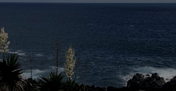 ÜBUNGEN ZUR SELBSTHILFE